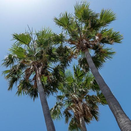 Villa Claudine Port de Alcudia  ภายนอก รูปภาพ